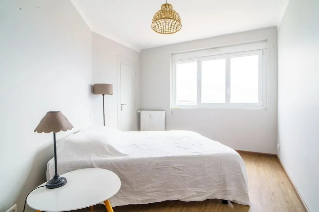 Appartement Avec Vue Hypercentre Tuluza Apartament